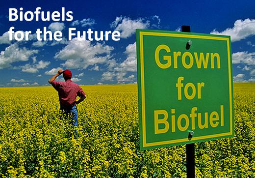 Biofuels for the future