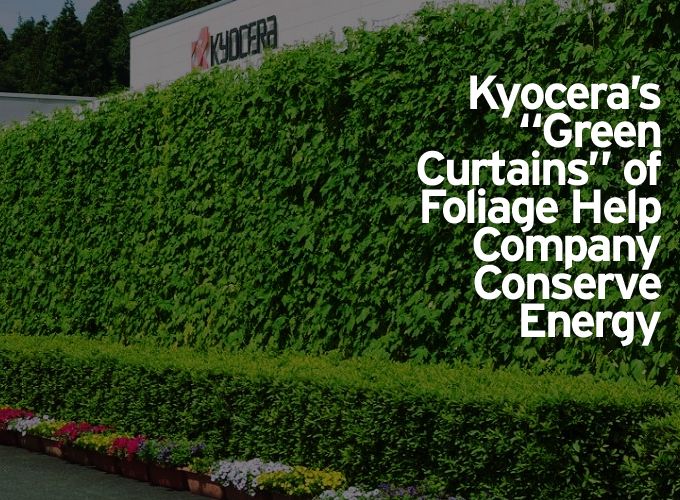 Kyocera's “Green Curtains” of Foliage Help Company Conserve Energy