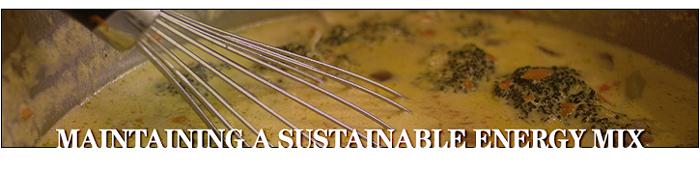 Maintaining a Sustainable Energy Mix