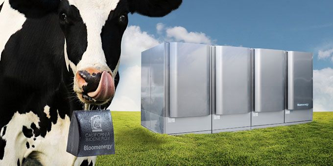 CalBio and Bloom Energy to Generate Renewable Electricity From Dairy Waste