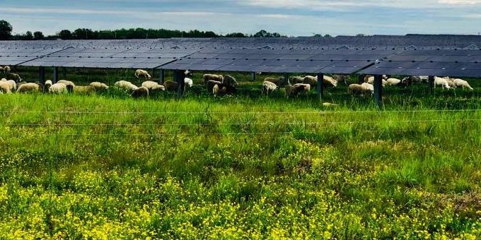 Silicon Ranch Launches Regenerative Energy at Tennessee’s Largest Operating Solar Farm