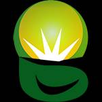 Bingsolar Power Technology Co,.Limited logo