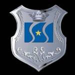 Shinestar Steel Group Co.,Ltd logo