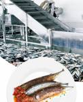Ningbo Pisces Food Machinery Co.,Ltd logo