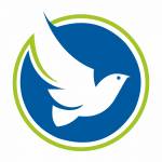 Bluebird Solar logo