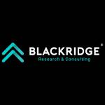 Blackridge Research & Consulting logo