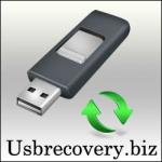 USB recovery logo