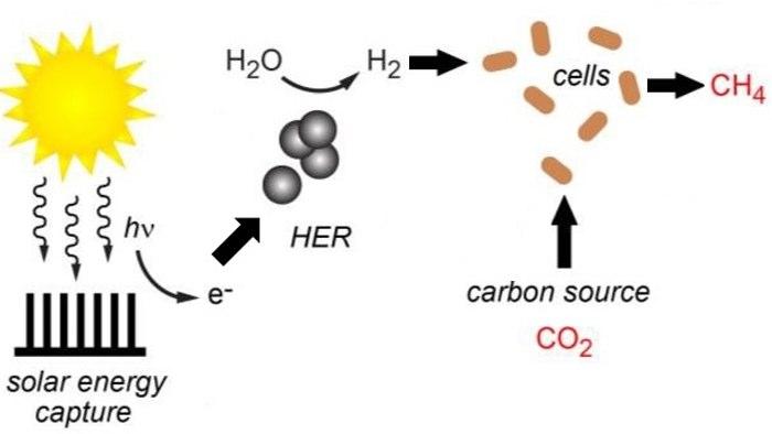http://img-3.gizmag.com/Bioinorganic-Solar-to-Chemical5.jpg?auto=format&ch=Width%2CDPR&fit=crop&h=394&q=60&rect=0%2C0%2C610%2C343&w=700&s=0f89a14a39d2423156ec0854a3aa8391