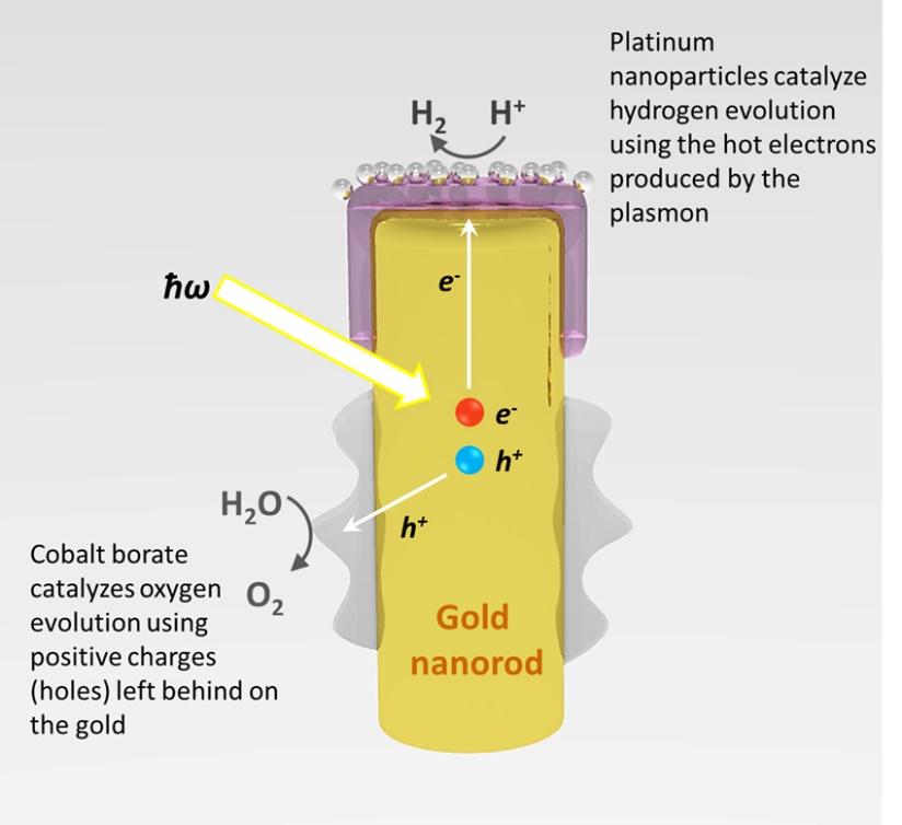 Image result for gold nanoparticle + solar energy = hydrogen