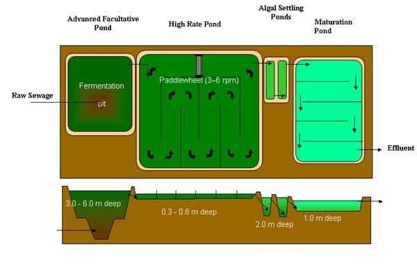 Image result for Advanced Integrated Wastewater Pond Systems