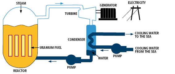 Image result for boiling light water reactors