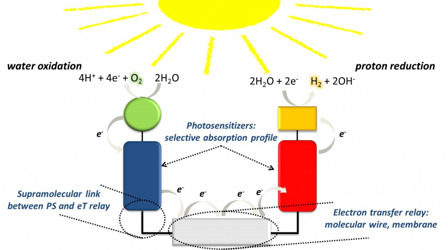 Synthetic photosynthesis image